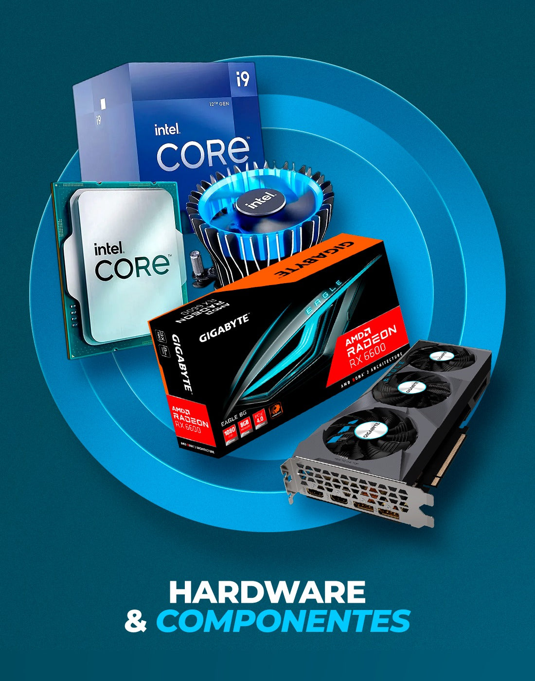 HARDWARE & COMPONENTES